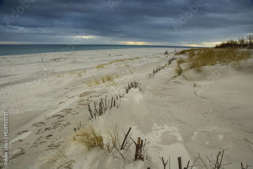 Fototapeta Naklejka Na Ścianę i Meble -  winter sandy beach of the Baltic Sea