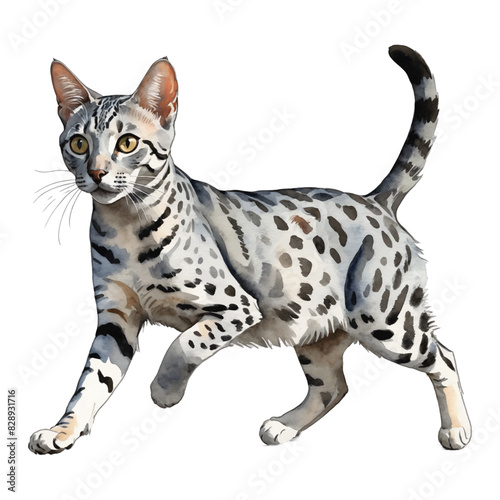 Egyptian Mau Cat Running or Jumping Hand Drawn Watercolor Painting Illustration