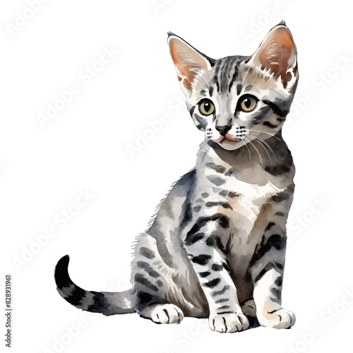 Egyptian Mau Cat Kitten Hand Drawn Watercolor Painting Illustration