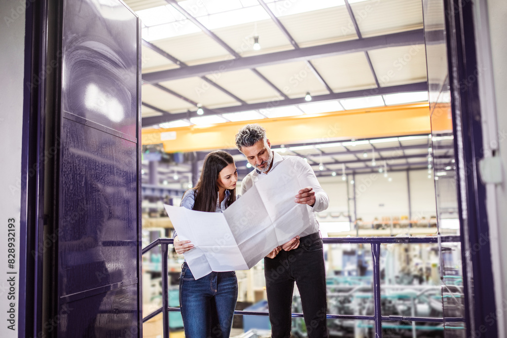 Two project managers standing in modern industrial factory. Manufacturing facility with robotics, robotic arms and automation. Storing products and materials in warehouse. Two project managers standing in modern industrial factory. Manufacturing facility with robotics, robotic arms and automation. Storing products and materials in warehouse.