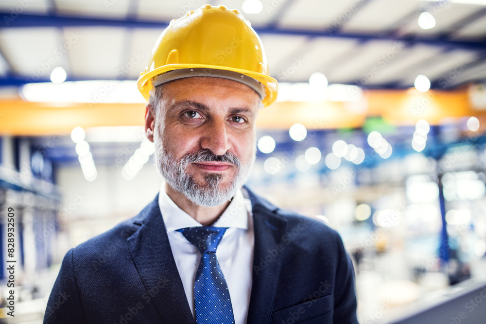 Portrait of project manager standing in modern industrial factory. Manufacturing facility with robotics, robotic arms and automation. Storing products and materials in warehouse. Portrait of project manager standing in modern industrial factory. Manufacturing facility with robotics, robotic arms and automation. Storing products and materials in warehouse.