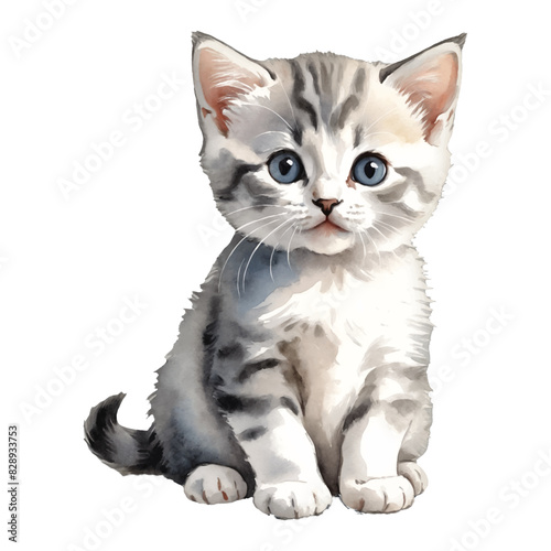 Munchkin Cat Kitten Hand Drawn Watercolor Painting Illustration
