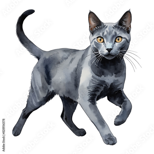 Russian Blue Cat Hand Drawn Watercolor Painting Illustration © Reytr
