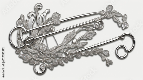 The image is of a silver metal carabiner with a spring-loaded gate.