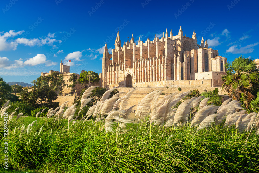 The Cathedral of Santa Maria of Palma and Parc del Mar near, Majorca, Spain