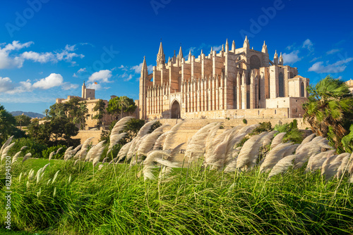 Obraz na płótnie The Cathedral of Santa Maria of Palma and Parc del Mar near, Majorca, Spain w salonie