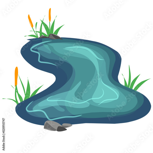 Swamp Illustration 
