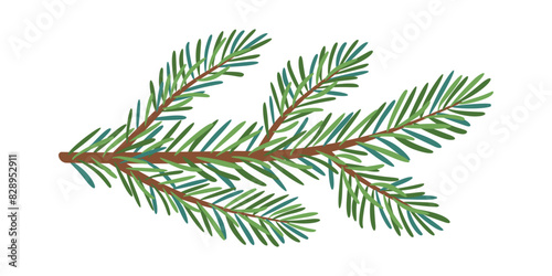 Christmas spruce branch. Larch, Pine, spruce branch, evergreen tree, fir, vector icon, winter plants, New Year wood, holiday decoration. Hand drawn illustration.