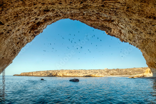 View of Cala Blanca beach, Puntas de Calnegre regional park, Region of Murcia, Spain, from a large cave with swallows in the sky photo