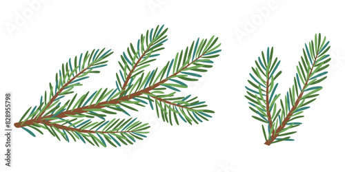 Christmas spruce branch set. Larch  Pine  spruce branch  evergreen tree  fir  vector icon  winter plants  New Year wood  holiday decoration. Hand drawn illustration.