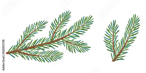 Christmas spruce branch set. Larch, Pine, spruce branch, evergreen tree, fir, vector icon, winter plants, New Year wood, holiday decoration. Hand drawn illustration.