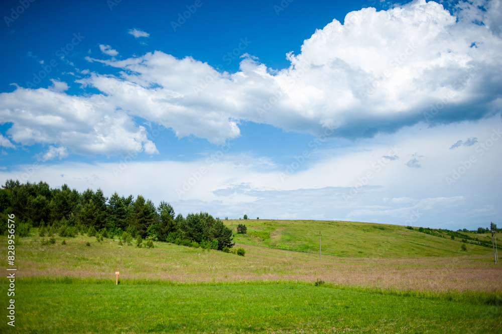 Beautiful summer landscape, field, forest, sky Beautiful summer landscape, field, forest, sky