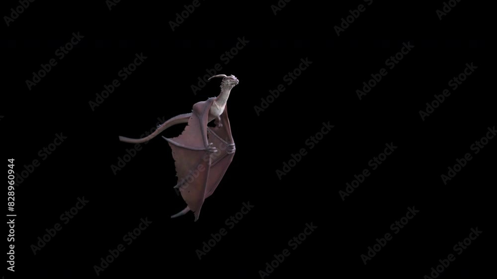 Animation of a flying and roaring fantasy dragon in 4K. Seamless loop.
Dragon on isolated background. Animation for fantasy backgrounds. 
Use this video in any fantasy, sci-fi, game or education relat