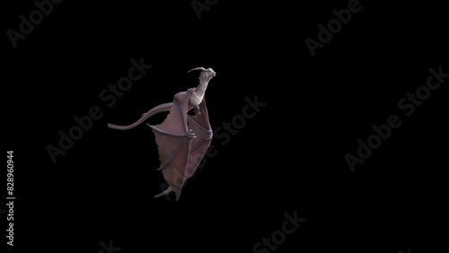 Animation of a flying and roaring fantasy dragon in 4K. Seamless loop.
Dragon on isolated background. Animation for fantasy backgrounds. 
Use this video in any fantasy, sci-fi, game or education relat