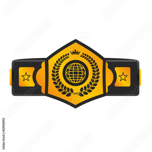 Pattern belt world champion martial arts solated photo