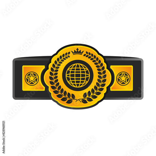 Pattern belt world champion martial arts solated