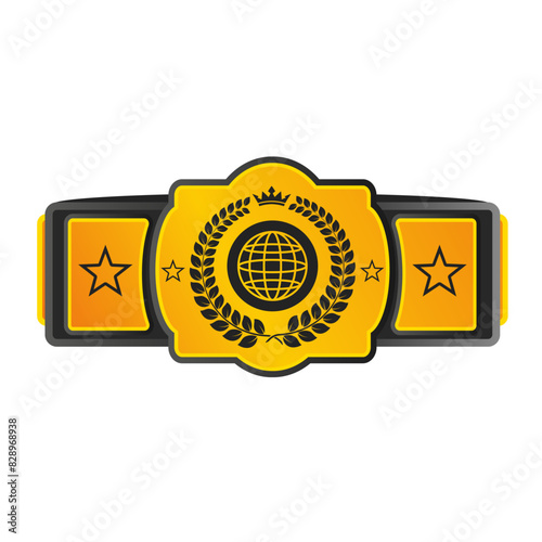 Pattern belt world champion martial arts isolated