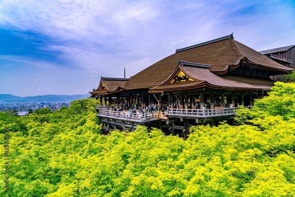 Japan wanderlust Japan wanderlust