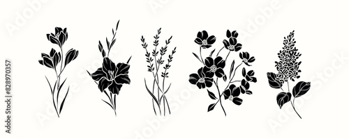 Flat vector crocus, gladiolus, lavender, dogwood, lilac