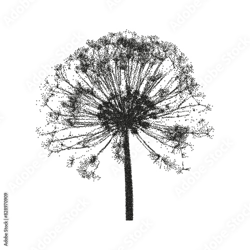 Blowball wildflower in retro photocopy effect. Grainy texture. Vector.