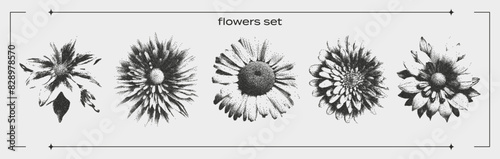 Elements with a retro photocopy effect. Grain and dotted lines. Various flowers, chamomile, dandelion, for Y2K design. Vector.