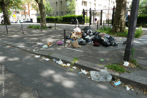 Photos Poubelles éventrées dans la rue