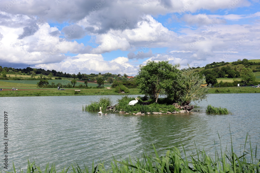 Härzfeldsee in Dischingen im Frühling Härzfeldsee in Dischingen im Frühling