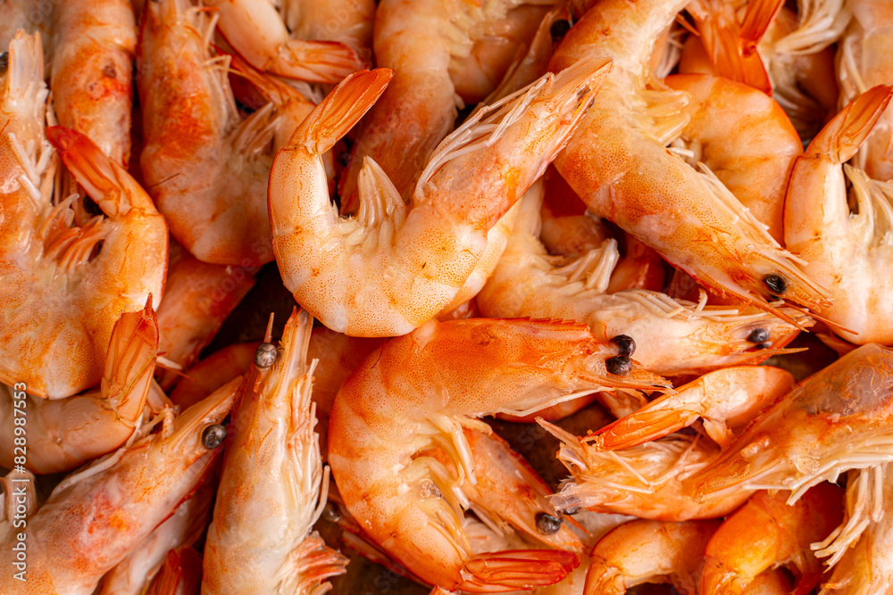 Close-up of a variety of boiled shrimp. Delicious seafood, market. Ingredient, delicacy. Seafood concept, delicious taste, sea life, organic products. Copy the ad space. Shrimp texture background