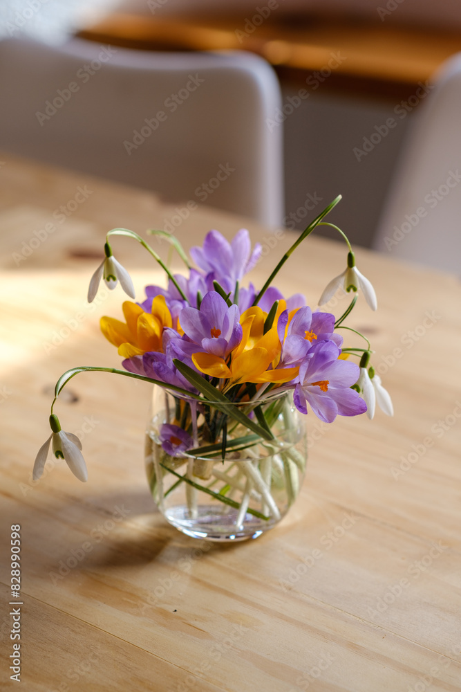 Bouquet of purple crocus in vase. Spring flowers in a vase.