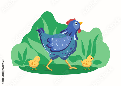 ute hen and chick. Chicken, pet. Farm, livestock. Vector illustration on isolated background.