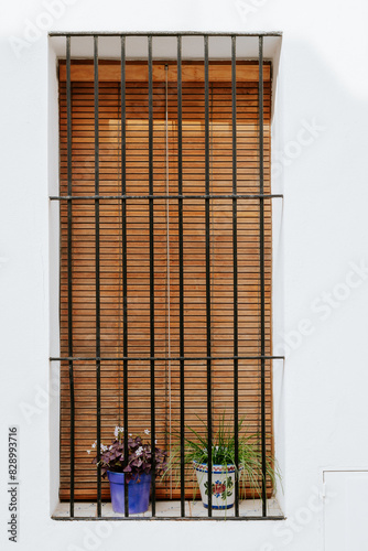 Window with Closed Brown Blind and Potted Plants on Windowsill
