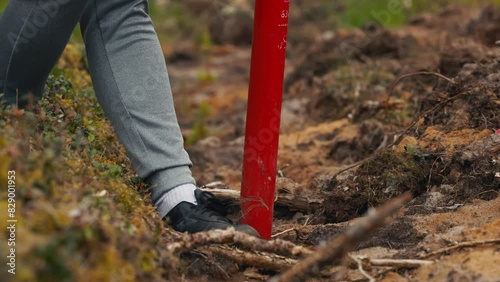 Volunteers Restore Cleared Forest by Replanting Trees to Support Sustainability photo