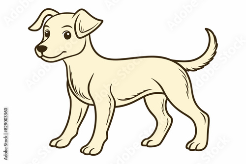 a dog standing on a white background with a blue border