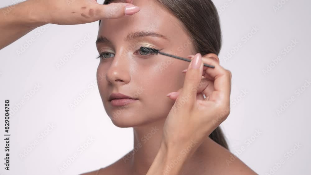 Makeup artist paints eyelashes with mascara. The concept of aesthetic cosmetology and makeup. Makeup artist paints eyelashes with mascara. The concept of aesthetic cosmetology and makeup.