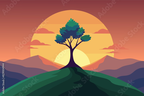 a tree on a hill with a sunset in the background