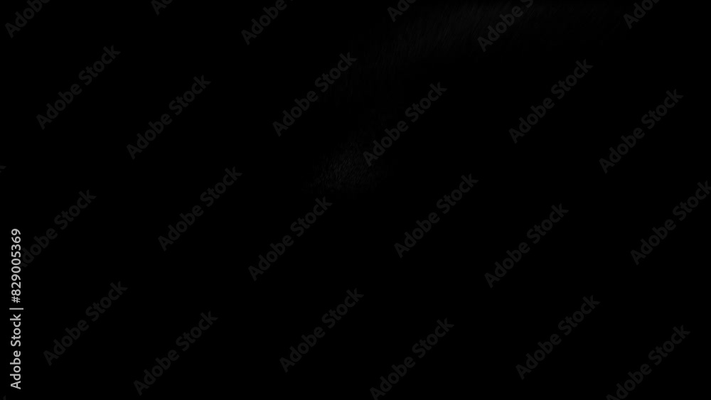 Brush E Text Animation Logo, Letters E ee Logo Videos With Sand Effects Animation For Business Brush E Text Animation Logo, Letters E ee Logo Videos With Sand Effects Animation For Business
