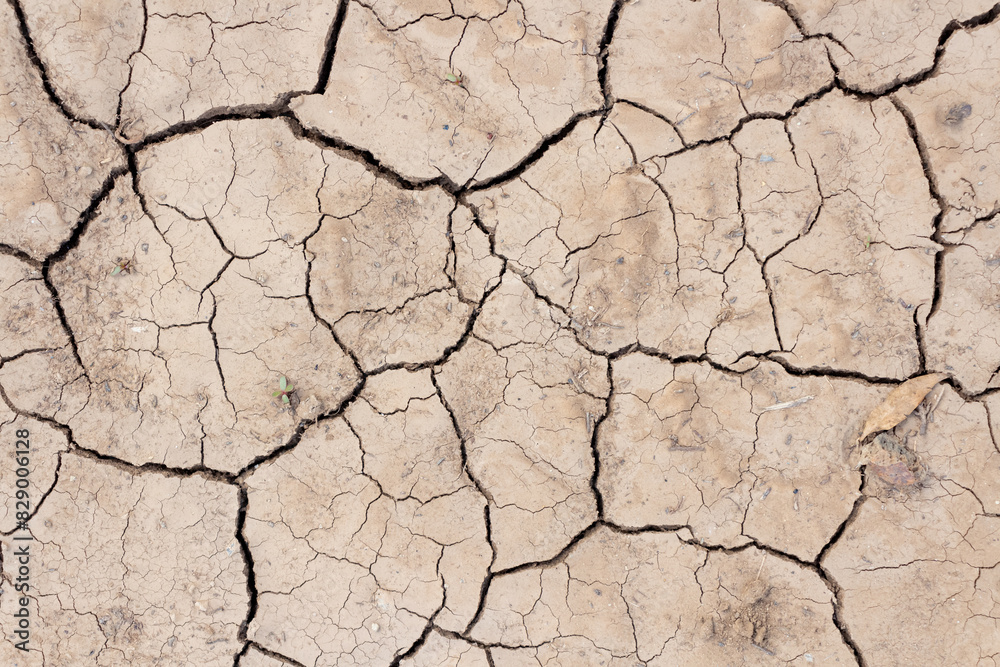 Close-up top view of dry brown cracked clay land surface in a summer day. Abstract weather background. Soft focus. Copy space. Drought and climate change theme. Close-up top view of dry brown cracked clay land surface in a summer day. Abstract weather background. Soft focus. Copy space. Drought and climate change theme.