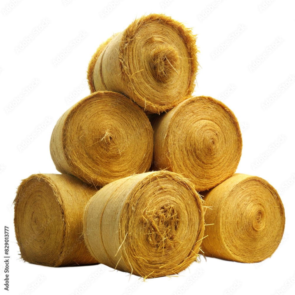 Stacked Round Hay Bales With Visible Textural Details Against a Transparent Background Stacked Round Hay Bales With Visible Textural Details Against a Transparent Background