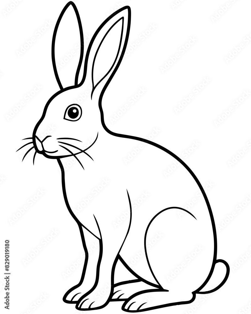 rabbit rabbit