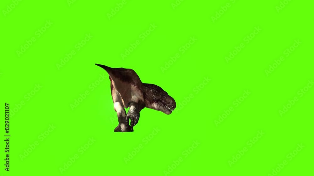 T-rex chase right bite green screen animation 3D rendering T-rex chase right bite green screen animation 3D rendering