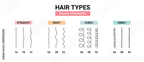 hair types beauty Classification. straight, wavy, curly, kinky. Scheme different types of hair. Curly girl method.