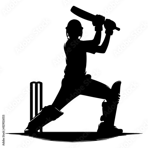 Cricket Player Silhouette Kneeling Bat Swing