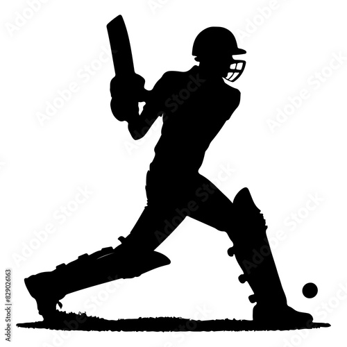 Cricket Player Silhouette Kneeling Bat Swing