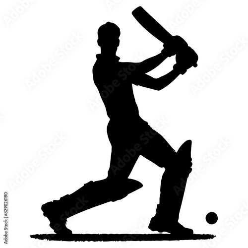 Cricket Player Silhouette Kneeling Bat Swing