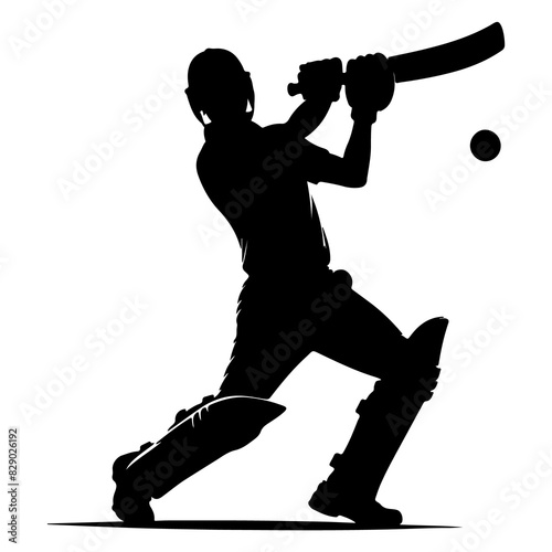 Cricket Player Silhouette Kneeling Bat Swing