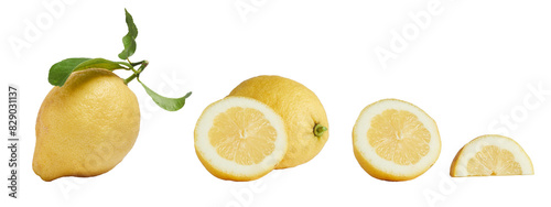 Set of natural and imperfect fresh lemons on white background. Whole with leaf, halved and quartered.