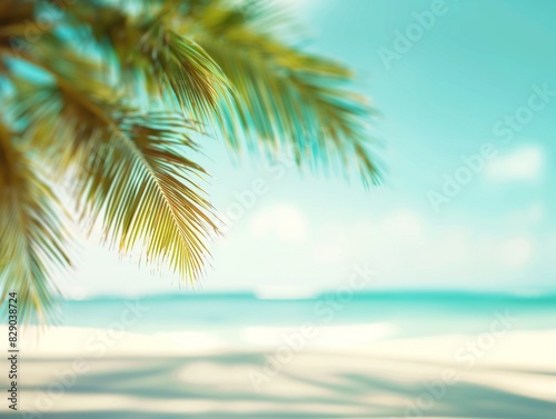 Blur nature summer vacation background, green palm leaf on tropical beach with sun light and wave background