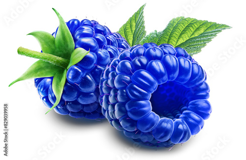 Two juicy blue raspberries with leaf isolated on a transparent background.