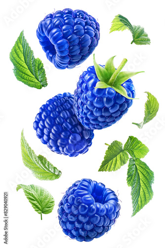 Flying juicy blue raspberries with leaves isolated on a transparent background.