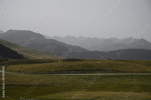 Pla de Beret, in summer pastures for cows and horses and in winter Baqueira Beret ski slope of the Val D'Aran photo